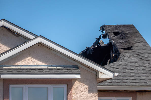 Top rated local Fire Damage Removal specialists in Tuscarora, MD
