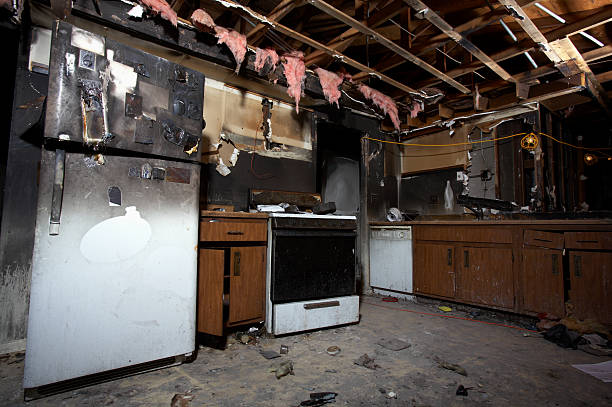 Trusted Fire Damage Removal service in Tuscarora, MD - Fire Damage Flint